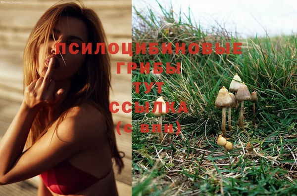 бутик Краснослободск